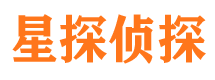 嘉鱼市调查公司